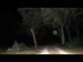 videos de Days of Orbs and UFOs