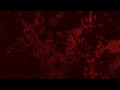 dona nobis pacem 2009.mp4