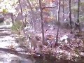 West Island State Reservation Trail, Fairhaven, MA