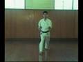 Gekisai dai ichi bunkais