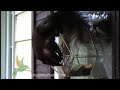 Moore Design Bird Feeders