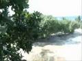 videos de shrilanka