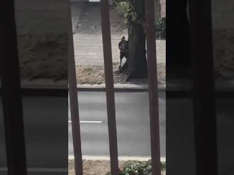 Tryb nieśmiertelności po zażyciu dopalaczy