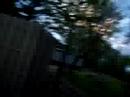 Spider Spider