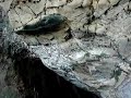 Views from the bottom of Sunny Jim Cave La Jolla
