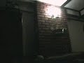 Re: Nuts Video: Knickerpedia Episode 10
