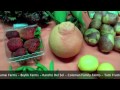 Click here to watch this video Farmers' Market Bag 5-23-12 - Specialty Produce