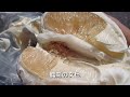 [7 / 8] 台湾ツーリング2009 臺灣機車旅遊2009