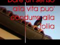 follia.wmv