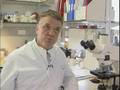 RESEARCHERS DISCOVER NEW MOUTH BACTERIA