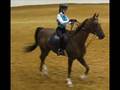 Roanoke Valley Horse Show