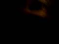 videos de president assisination(2)