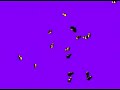 Swarming Insectoids Swarming Insectoids