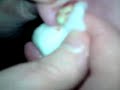 Custard Ear!