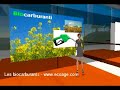 Les biocarburants