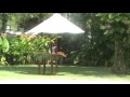 Phuket Hotel