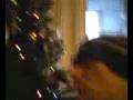videos de Morlock Has Issues