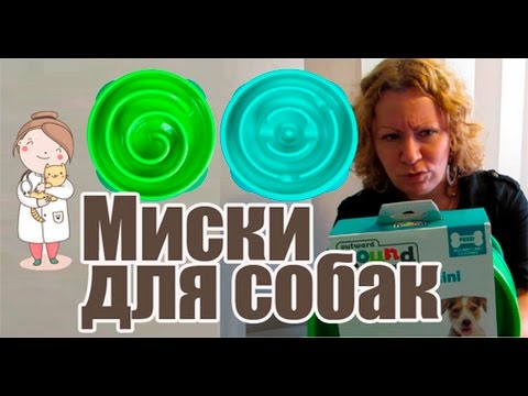 Кормушки и миски для собак из Китая. ЗооКитай.