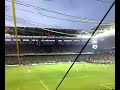 sarı lacivert şampiyon fener.desibel rekoru