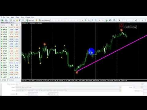 binary option expert signal holy grail