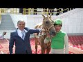 Cumhurbaşkanı Gül'e At Hediye Edildi 