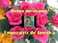 virgen de guadalupe Fernandez Mas.WMV