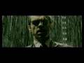  - MovieZen Video