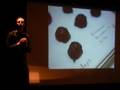 4.1.8 Shawn Murphy - Hacking Chocolate - Ignite Seattle 2007