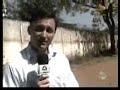 Reportagem sobre Ip� Amarelo