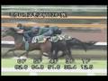 videos de [調教] 081008 ミクロコスモス 「新馬」前追い切り