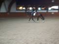 Dressurreiten / Training