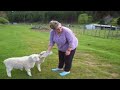 Jenny feeding Lamb Wairoa New Zealand Aotearoa
