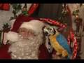 santa;s aParrot