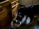 Eten