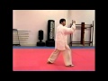 42 Fajing Chen Taiji Master Zhu Tiancai