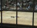videos de Dark Thunder II vs. Zathrus - RG05
