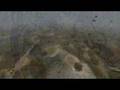 S.T.A.L.K.E.R Clear Sky - The World Zone Atmosphere