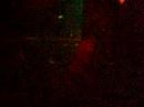 clip 4 of 5 of julee cruise & pluramon live at the oslo-club bl� 14/11-2005. i don't remember the name of the song, but write it in the comments if you do.