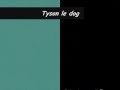 videos de Tyson.wmv