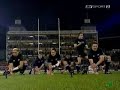 Allblacks Haka - kapa o pango