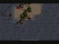 Pain'Master Tibia life on Danera