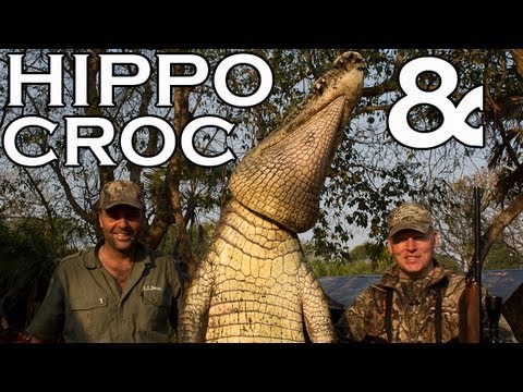 hippo - Ian's Mozambique Vlog - Part 7. Today we're back on the Macarau River on the look out for Africa's most dangerous and prolific 'man killers' - hippo and croc...