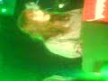 Merry Happy End Piano Solo Kate Nash Aberdeen