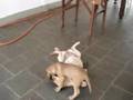 BRUTUS動画17