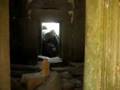 Angkor - Ta Prohm