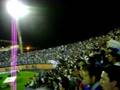 Avaí 3x0 Criciuma - Vamos subir leão.