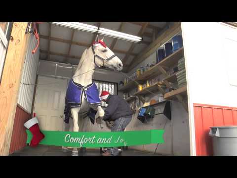 horse racing