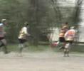 Punkty Rugby Brygada Ba?uty RC vs Politechnika Warszawska