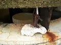かつての記憶(旧日本軍観測所跡、奄美西古見)