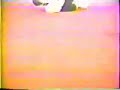 Rickson Gracie Training 2